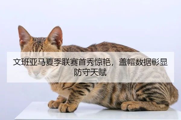 文班亚马夏季联赛首秀惊艳，盖帽数据彰显防守天赋